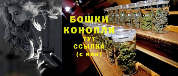 гашик Бронницы